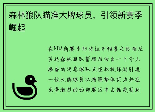 森林狼队瞄准大牌球员，引领新赛季崛起